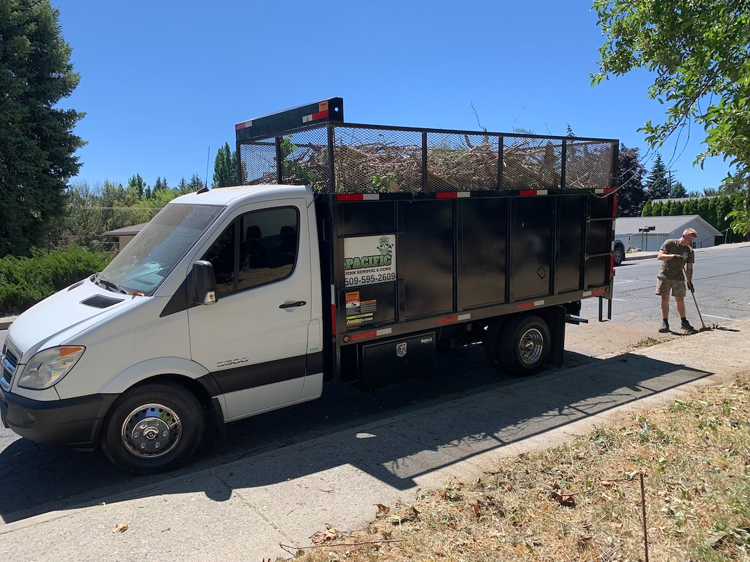 Tree and Brush Removal in Pullman